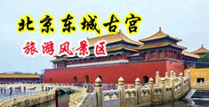 欧美大屌插美女中国北京-东城古宫旅游风景区